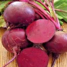 100+ Seeds RUBY QUEEN BEETS Seeds Heirloom Vegetable Garden Patio Container Fast Easy (Seeds) 100+ Seeds RUBY QUEEN BEETS Seeds Heirloom Vegetable Garden Patio Container Fast Easy (Seeds)