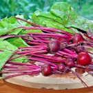 100+ Seeds EARLY WONDER Beet Seeds Native Heirloom Vegetable Garden Patio Container (Seeds) 100+ Seeds EARLY WONDER Beet Seeds Native Heirloom Vegetable Garden Patio Container (Seeds)