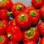 100+ Seeds Hot Red CHERRY PEPPER Seeds Organic Vegetable Garden Patio Container Easy (Seeds)