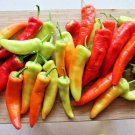 100+ Seeds HUNGARIAN Sweet Wax PEPPER Seeds Organic Vegetable Garden Container Banana (Seeds)