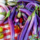 50+ Seeds LONG PURPLE EGGPLANT Seeds Organic Italian Heirloom Summer Garden Container (Seeds) 50+ Seeds LONG PURPLE EGGPLANT Seeds Organic Italian Heirloom Summer Garden Container (Seeds)