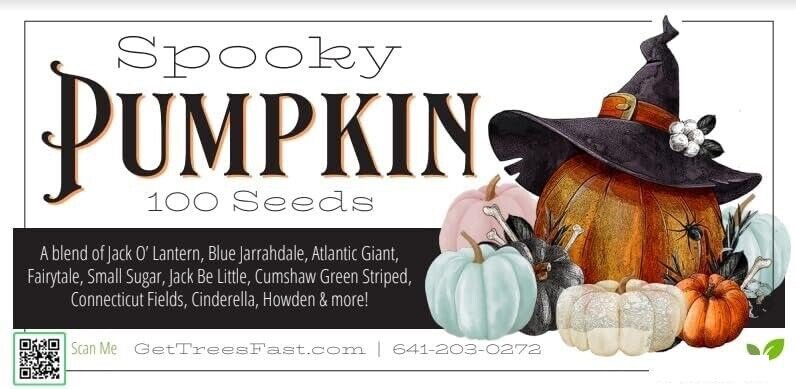 100 Seeds Mixed Spooky Blend Pumpkin Seeds for Planting (Seeds)