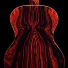 10 Seeds Cocobolo Tree Seeds for Planting Highly Desired Lumber for Fine Woodwork (Seeds)