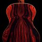 10 Seeds Cocobolo Tree Seeds for Planting Highly Desired Lumber for Fine Woodwork (Seeds)