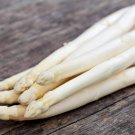 100 Seeds Exotic White Asparagus Seeds for Planting Rare Garden Vegetable (Seeds) 100 Seeds Exotic White Asparagus Seeds for Planting Rare Garden Vegetable (Seeds)