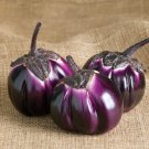 50 Seeds Barbarella Eggplant Seeds for Planting Non-GMO Exotic Eggplant (Seeds)
