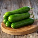 10 Seeds Picolino Mini Cucumber Seeds for Planting - 5-6 Inch Garden Vegetable (Seeds) 10 Seeds Picolino Mini Cucumber Seeds for Planting - 5-6 Inch Garden Vegetable (Seeds)