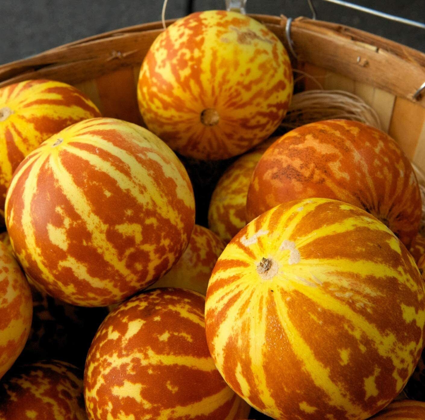20 Seeds Rare Tigger Melon Seeds Exotic Garden Fruit Seeds to Plant Sweet Exotic (Seeds)