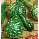 20 Seeds Long Handle Dipper Gourd Seeds for Planting (Seeds)