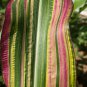 20 Seeds Dwarf Rainbow Corn Non-GMO - Very Unique and Rare Leaves (Seeds)