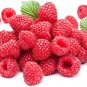 200 Seeds Delicious Red Raspberry Seeds to Grow (Seeds)