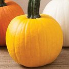 20 Seeds Yellow "Sunshine" Pumpkin Seeds for Planting Rare Yellow Pumpkin (Seeds)
