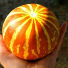 10 Seeds Queen Anne's Pocket Melon (Seeds)
