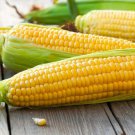100 Seeds Yellow Sweet Corn Seeds for Planting Hybrid "Incredible Corn" (Seeds)