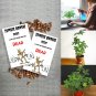 60 Seeds Zombie Bonsai Seed Packets Sensory Bonsai Plant Reacts to To Touch (Seeds)