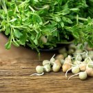 100 Seeds Lentil Sprout Seeds to Grow Tasty and Delicious Sprouts in Just Water (Seeds)
