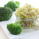 500 Seeds Broccoli Sprout Seeds to Grow Broccoli Sprouts Easy Fast Growing Healthy (Seeds)