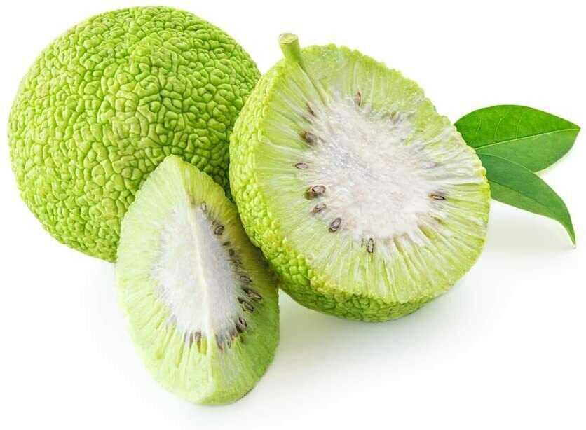 20 Seeds Osage Orange Tree Seeds Exotic Fruit Tree (Seeds)