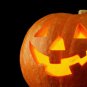 20 Seeds Big Max Pumpkin Seeds Prized for Being Giant and Symmetrical (Seeds)