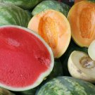 250+ Seeds Fruit n Vegetable Garden Kit - Watermelon, Cantelope, Toma, Broccoli, Cauliflower (Seeds)
