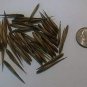 20 Seeds Heavenly Bamboo Seeds Great for Hedge Privacy (Seeds)