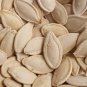 10 Seeds Partial Eclipse Summer Squash Seeds to Grow Colorful Mini Pumpkins (Seeds)