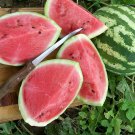30 Seeds Crimson Watermelon Seeds to Grow (Seeds)