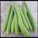 20 Seeds Asian Vegetable Edible Luffa seeds , long Smooth sponge gourd (Seeds)