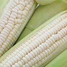 50 Seeds White Corn Seeds for Planting (Seeds)