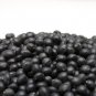 1000 Seeds Chia Seeds for Planting - Chia Microgreens (Seeds)