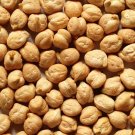 500 Seeds Garbanzo Bean Seeds to Grow Chickpeas (Seeds)