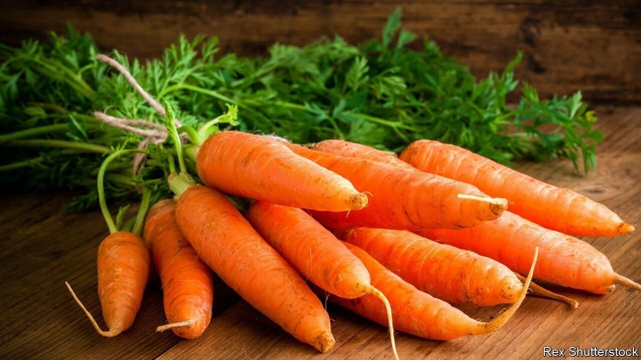 50 Seeds Carrot (Seeds)