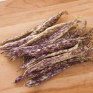 20 Seeds Dragon's Tounge Bean Seeds for Planting (Seeds)