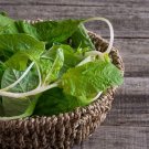 100 Seeds Green Chinese Spinach Seeds for Planting (Seeds)