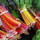 100 Seeds Swiss Chard Seeds for Planting Rare Colorful Garden Vegetable (Seeds)