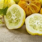 100 Seeds Lemon Cucumber Seeds to Grow Exotic Heirloom Vegetable (Seeds)