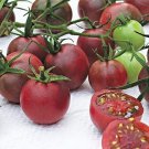 40 Seeds Chocolate Cherry Tomato Seeds for Planting (Seeds)