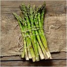 100 Seeds Mary Washington Asparagus Seeds Non-GMO Fresh Garden Seeds for Planting (Seeds)