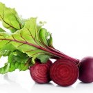 250 Seeds Red Beets Seeds to Grow (Seeds)