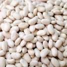 50 Seeds Navy Bean Seeds for Planting Grow White Kidney Beans (Seeds)