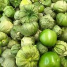100 Seeds Rio Grande Verde Tomatillo Seeds to Grow (Seeds)