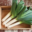 50+ Seeds Leek Seeds for Planting Great for Salads and Garnish (Seeds)