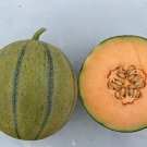 10 Seeds Melonade Cantaloupe Seeds for Planting (Seeds)