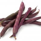 15 Seeds Purple Finger Bean Seeds for Planting Rare Vegetable (Seeds)