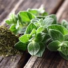 150 Seeds Oregano Seeds to Grow Prized Herb for Cooking (Seeds)