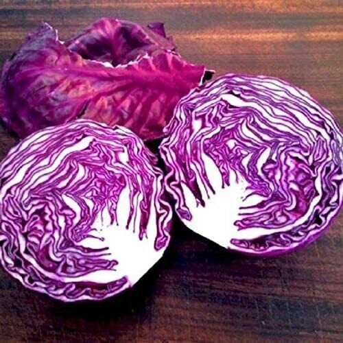250 Seeds Red Acre Cabbage (Seeds)