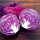 250 Seeds Red Acre Cabbage (Seeds)