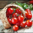300 Seeds Garden Cherry Tomato Seeds for Planting (Seeds)