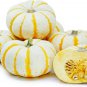 10 Seeds Dwarf Tiger Striped Gourd Seeds Unique and Rare Vegetable (Seeds)