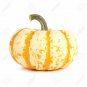 10 Seeds Dwarf Tiger Striped Gourd Seeds Unique and Rare Vegetable (Seeds)